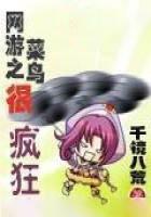 網遊之菜鳥很瘋狂