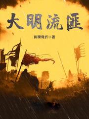 大明流匪