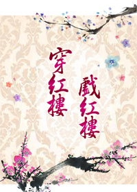 穿紅樓戲紅樓