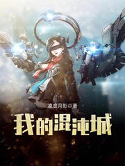 我的混沌城