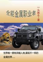 全能金屬職業者