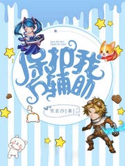 保護我方輔助