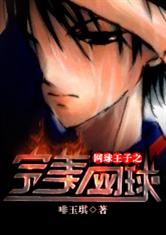 網球王子之完美網球