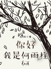 你好我是何雨柱