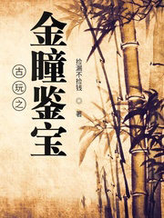 古玩之金瞳鑒寶