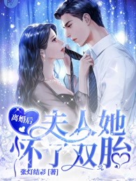 離婚後,夫人她懷了雙胎