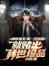 都市鑒寶:第一次撿漏,就賭出稀世珍品!