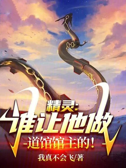 精靈，誰讓他做道館館主的