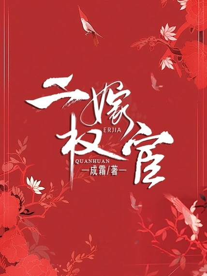 二嫁權宦